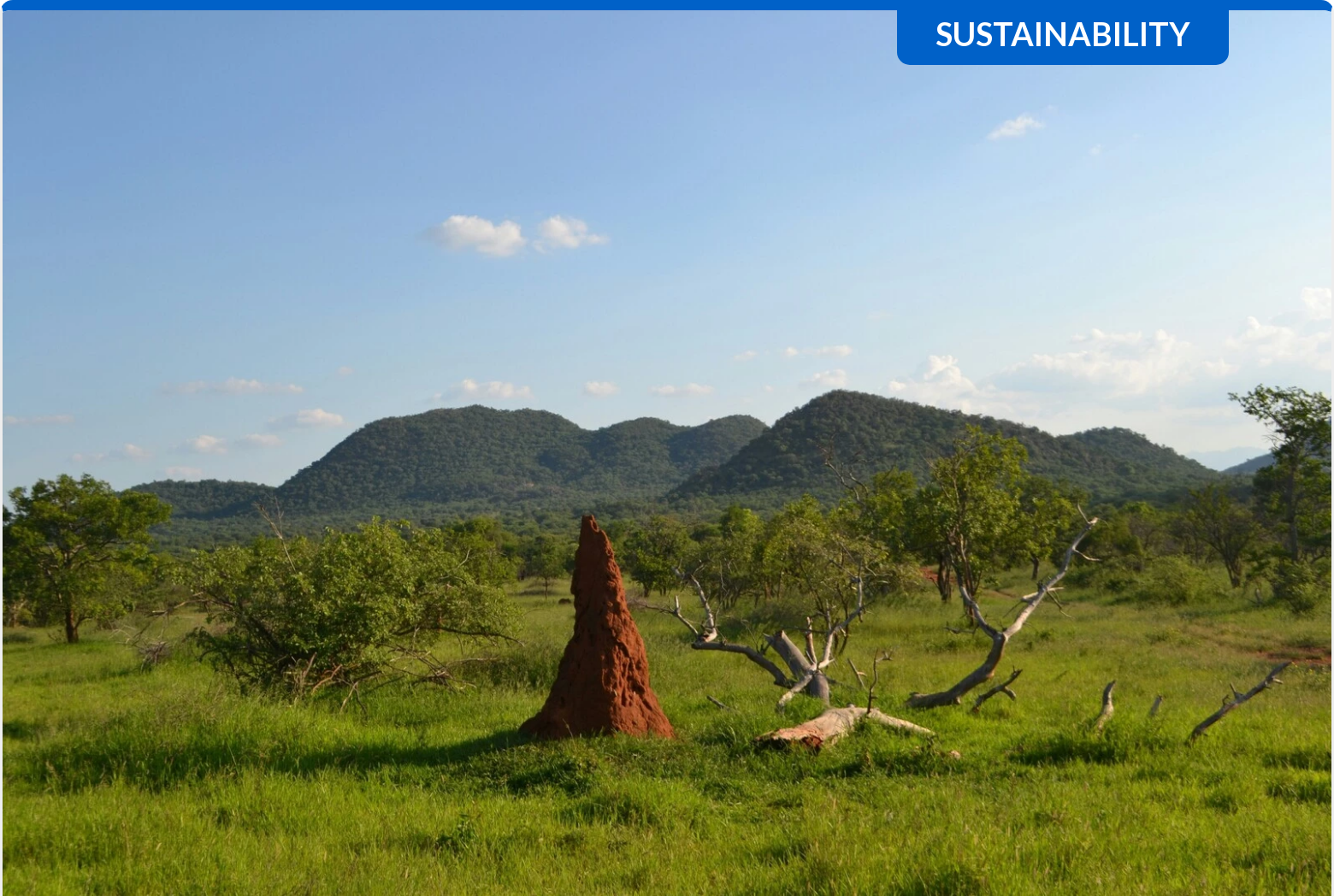 5 Ways Giant Termite Mounds Can Help Architects Create More Efficient and Sustainable Buildings