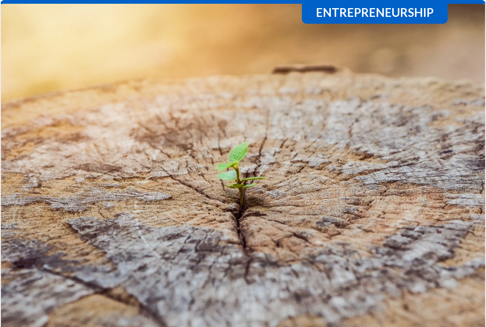 Why Collaboration is Your Competitive Advantage as an Entrepreneur